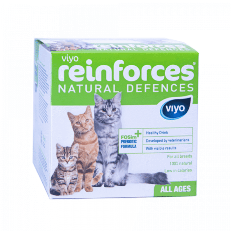 VIYO FORTALECE GATO
