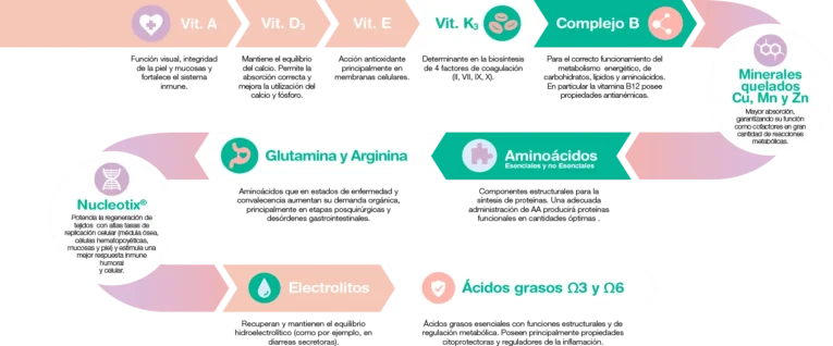 PETONIC RECUPERACION 2