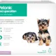 PETONIC RECUPERACION PERROS PEQUEÑOS FRASCO 55ML