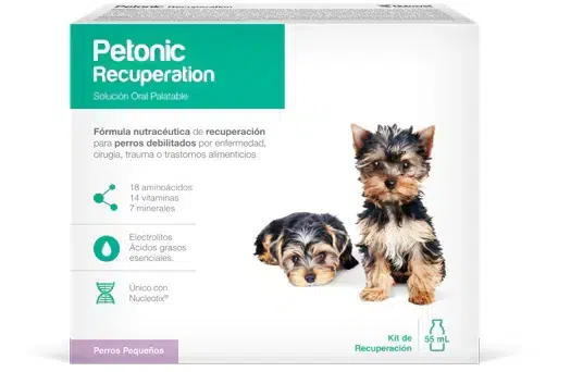 PETONIC RECUPERACION PERROS PEQUEÑOS FRASCO 55ML