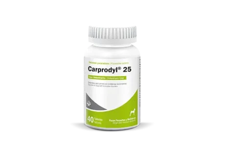 CARPRODYL 25 CAPROFENO ANTIINFLAMATORIO (1 TABLETA)