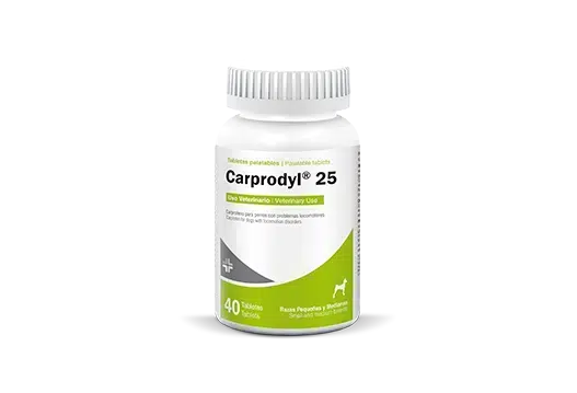 CARPRODYL 25 CAPROFENO ANTIINFLAMATORIO (1 TABLETA)
