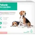 PETONIC RECUPERACION PERROS MEDIANOS FRASCO 110ML