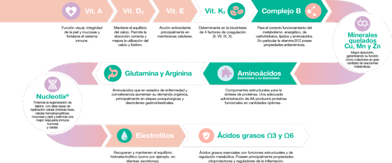 PETONIC RECUPERACION PERROS MEDIANOS FRASCO 110ML 3