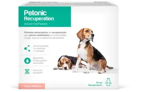 PETONIC RECUPERACION PERROS MEDIANOS FRASCO 110ML
